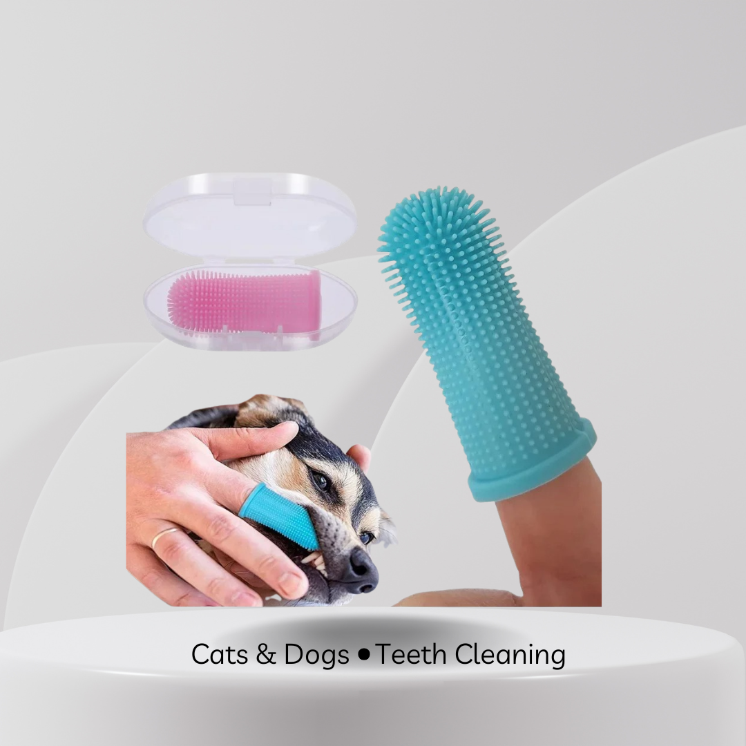 Dental Finger Brush | Dogs & Cats