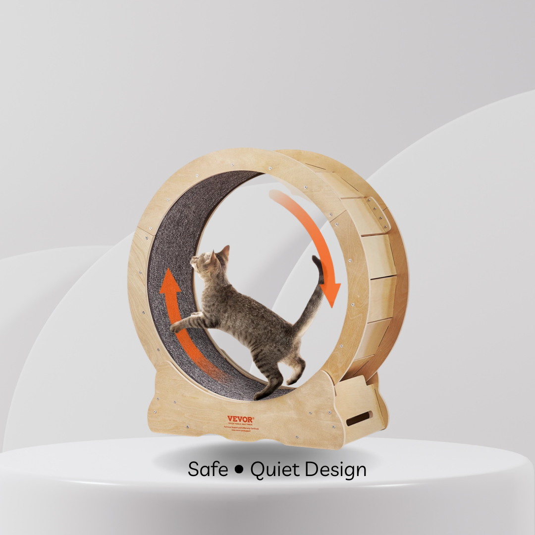 Cat Exercise Wheel