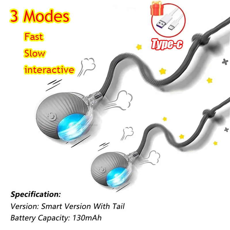Interactive Rolling Toy