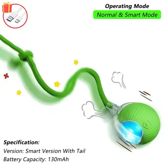 Interactive Rolling Toy