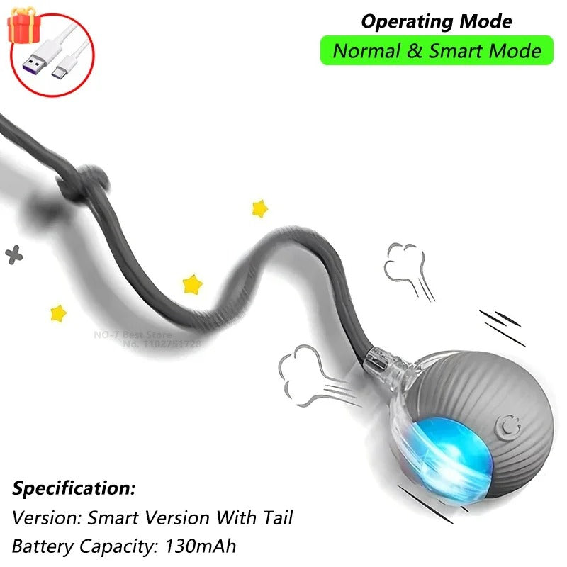 Interactive Rolling Toy