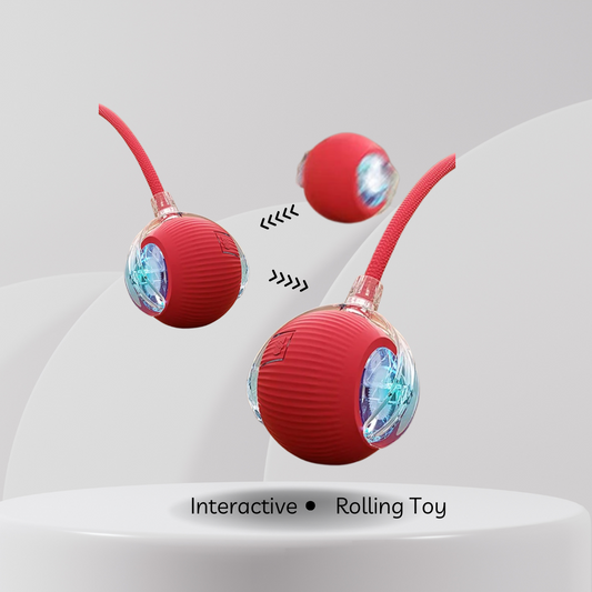 Interactive Rolling Toy