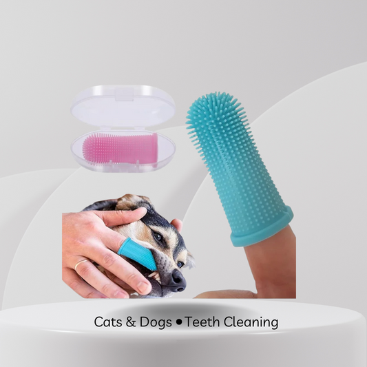 Dental Finger Brush | Dogs & Cats