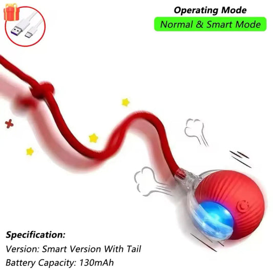 Interactive Rolling Toy